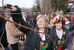 Евксиноград - Зарязване на лозята