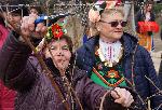 Евксиноград - Зарязване на лозята