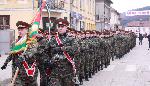 Сухиндол - Зарязване на лозята
