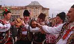 Сухиндол - Зарязване на лозята
