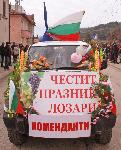 Сухиндол - Зарязване на лозята
