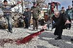 Село Свирачи, Ивайловград - винено шествие за Трифон Зарезан
