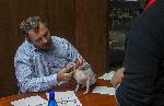 София - Изложба на котки