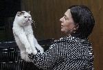 София - Изложба на котки