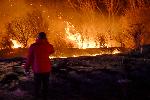 Огнеборци потушават пожар в местността Камбаните