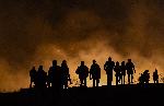 София - Пожар в терен с ниска растителност и храсти