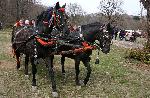 Варна - Тодоровден
