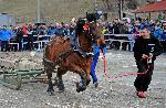 Чепеларе - Тодоровден