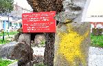 Бургас - Вандалска проява
