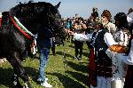 Попица - Конски състезания