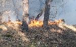 Благоевград - Пожар в горски масиви