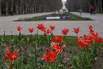 Варна - Морска градина