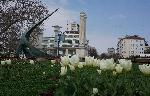 Варна - Морска градина