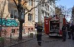София - подпалено дърво на "Неофит Рилски"