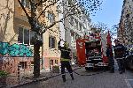София - подпалено дърво на "Неофит Рилски"