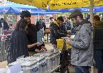 Търговци на грамофонни плочи се събраха на втория SOFIA VINYL FEST