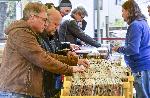 София - Пазар на грамофонни плочи