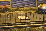 офия - Катастрофа с човешка жертна - Околовръстно шосе - Люлин