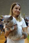 Варна - Изложба на котки