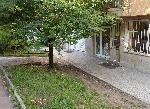 София – Мястото на инцидент с намушкано момче.