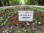 В Морската градина на Варна разкрасяват с цветни алеи