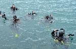 Бургас - Водолази чистят морското дъно