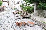Хасково - Буря - Щети
