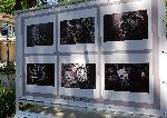 Варна - "12-ти международен фотографски салон Варна 2019"
