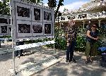 Варна - "12-ти международен фотографски салон Варна 2019"