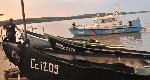Силистра - Удавник във водите на река Дунав