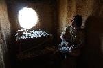 Неофит Рилски - Исторически парк