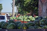 Първите български дини се появиха на пазара в Любимец