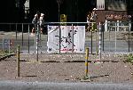 Варненци с призив "Освободете зебрата"