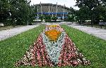 Варна - Цветя в Морската градина