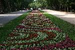 Варна - Цветя в Морската градина