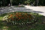 Варна - Цветя в Морската градина