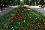 Варна - Цветя в Морската градина