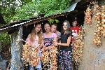 Долни Вадин - Село назаем