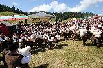 Рожен - Събор на нaродното творчество и жъвотновъдство Рожен 2019