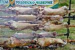 Рожен - Събор на нaродното творчество и жъвотновъдство Рожен 2019