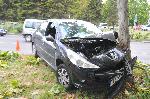 Бургас - Катастрофа на автомобил в дърво