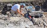 Нови открития при разкопките на античния град Залдапа в Добруджа