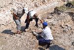 Село Абрит, Добрич - Археологически разкопки на античния град Залдапа