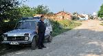 Унищожаване на заразени прасета в Силистренско продължава