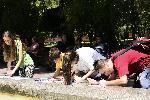 София - Зелените библиотеки