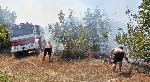 Треви и ниска растителност пламнаха край хасковското село Брягово