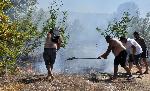 Село Брягово, Хасково - Пожар в треви и ниска растителност