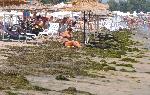 Бургас - Бурно море в навечерието на Голяма Богородица