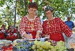 Димитровград - Изложба - Конкурс