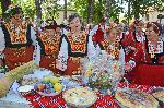 Димитровград - Изложба - Конкурс